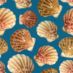 Seamless pattern with watercolor illustrations of shells