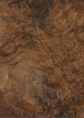 Furnier Nussbaum Master