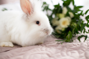 white small easter rabbit bunny with flowers