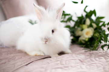 white small easter rabbit bunny with flowers