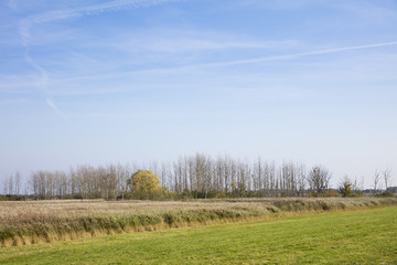 Sundische Wiese, Nationalpark Vorpommersche Bodenlandschaft, Ostzingst, Zingst, Fischland-Darß-Zingst, Mecklenburg-Vorpommern, Deutschland, Europa