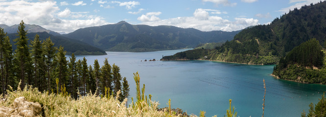 Port Underwood, New Zealand