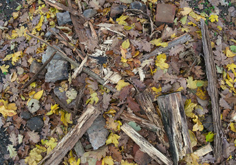 Outdoor fireplace with dry wood and fallen leaves