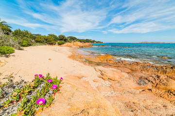 Romazzino rocky shore in