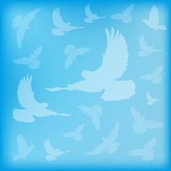 Fototapeta premium 3054673 blue blurred background birds doves silhouettes