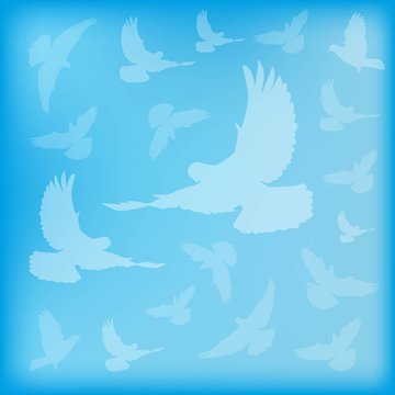 3054673 blue blurred background birds doves silhouettes
