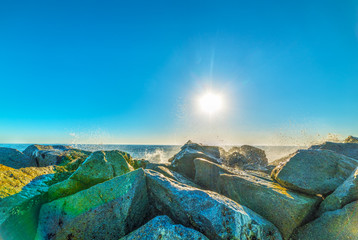 Rocks in Venice beach shore
