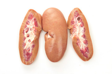 Pig kidney on a white background