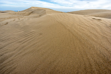 Fototapeta na wymiar Gran Canaria, Spain. Sand dunes in Maspalomas natural park. Located in the area of the municipality of San Bartolomé de Tirajana