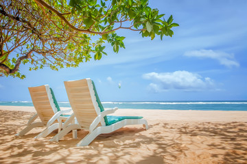 The sun loungers under the trees on a tropical beach. Ocean view, Nusa Dua, Bali, Indonesia.