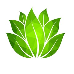 Green leaves logo, vector