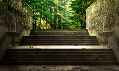 Success concept. Front view from the gray stairs to the morning forest. Concept of success.