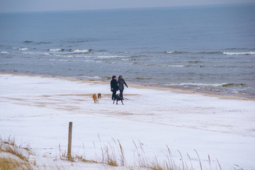 people walking on beach covered with snow