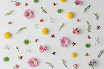 Creative spring colorful flower pattern on bright background. Flat lay. Nature minimal concept.