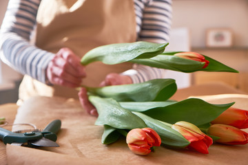 Florist, folding a bouquet of tulips