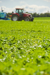 Tractor spraying pesticides on field with sprayer at spring