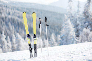 Skis with sticks on the snowy mountains with frozen forest on the background - obrazy, fototapety, plakaty