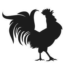 Black silhouette of a rooster. Isolated on a white background. Vector illustration.
