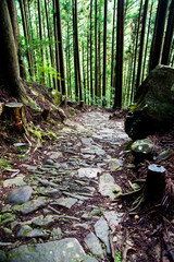 kumano kodo trail japan