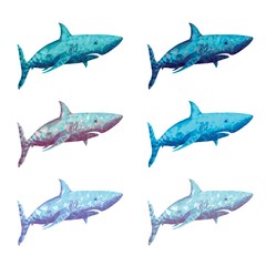 Blue Colored Polygonal Shark Illustration. Sea Predator Danger Creature.