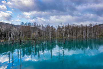 Sky reflections in Shirogane Blue Pond (Aoi-ike) Located in Biei, Kamikawa District, Hokkaido Prefecture, Japan.