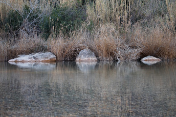 3 Piedras sobre el agua de forma simétrica 