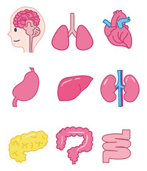 内臓のアイコンイラスト素材セット