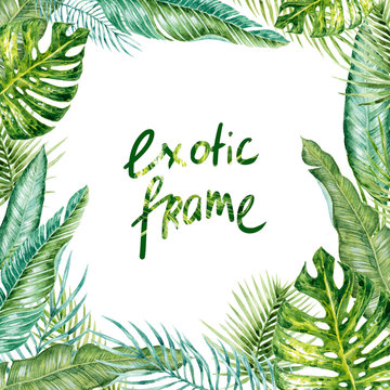 Watercolor hand-drawn exotic (tropical) leaves frame on the white background