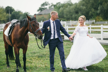 Gorgreous wedding couple poses on the green lawn with a horse