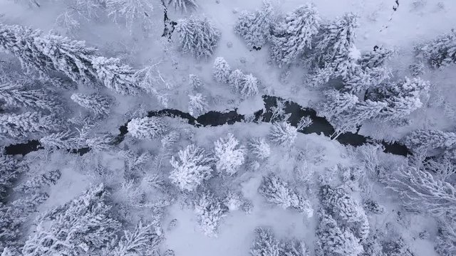 Top view of winter mountain river surrounded by trees and banks of snow-covered