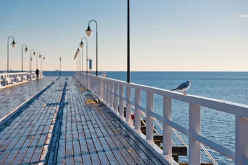 Foto auf Acrylglas Seebrücke Möwe sitzt auf dem Pier barierr