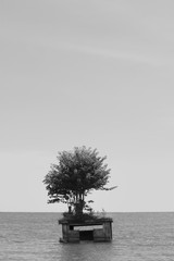 sunken building
