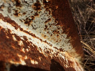 Rust