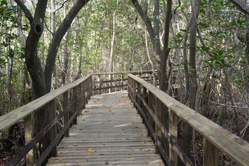 Obraz premium wooden boardwalks