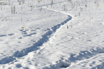 Snow trail. Trail trampled in the snow.