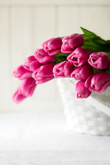 Violet tulips bouquet in basket in front of white wooden wall. Space for copy