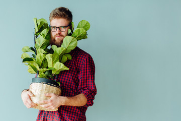Young bearded hipster sman, dressed in red plaid shirt and dark blue jeans, standing, holding flower pot with green plant house and looks at the camera. In background gray wall. Changing jobs, moving.