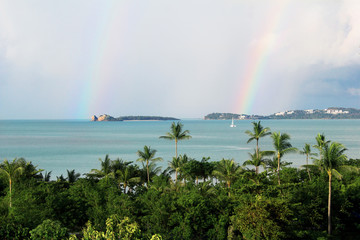 Summer blue ocean with a forest of palm trees and rainbows in the sky Concept for a postcard