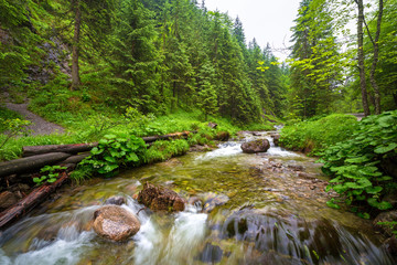 Obrazy na Szkle  Skalisty potok w Tatrach latem, Polska