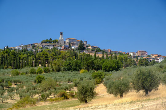 Summer landscape near Perugia