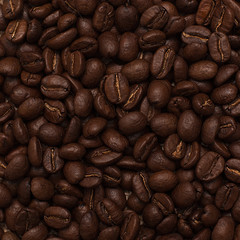 Coffee beans. background.