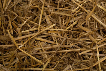 Fresh hay. Background.