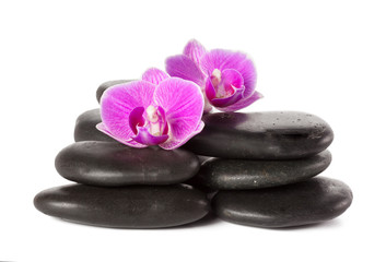 Obraz na płótnie Canvas zen stone and orchid. spa concept