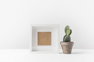 beautiful green potted cactus and empty photo frame on white