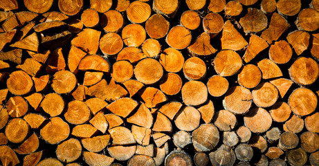 firewood store texture