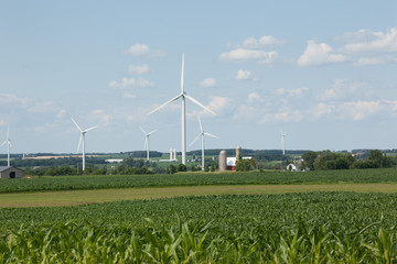 Fields of corn and hay with farm buildings and wind turbines in the background on a sunny summer day.