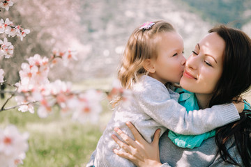 daughter kisses mother in the blooming almond garden