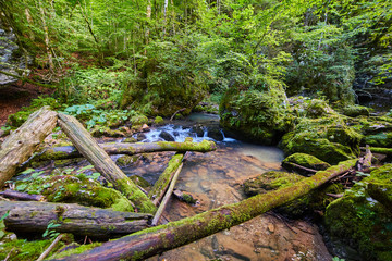 River and canyon in Romania