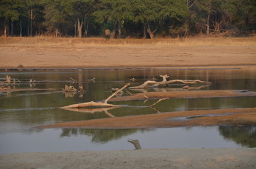 The African landscape. Zambia