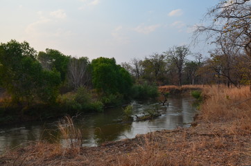 The African landscape. Zambia